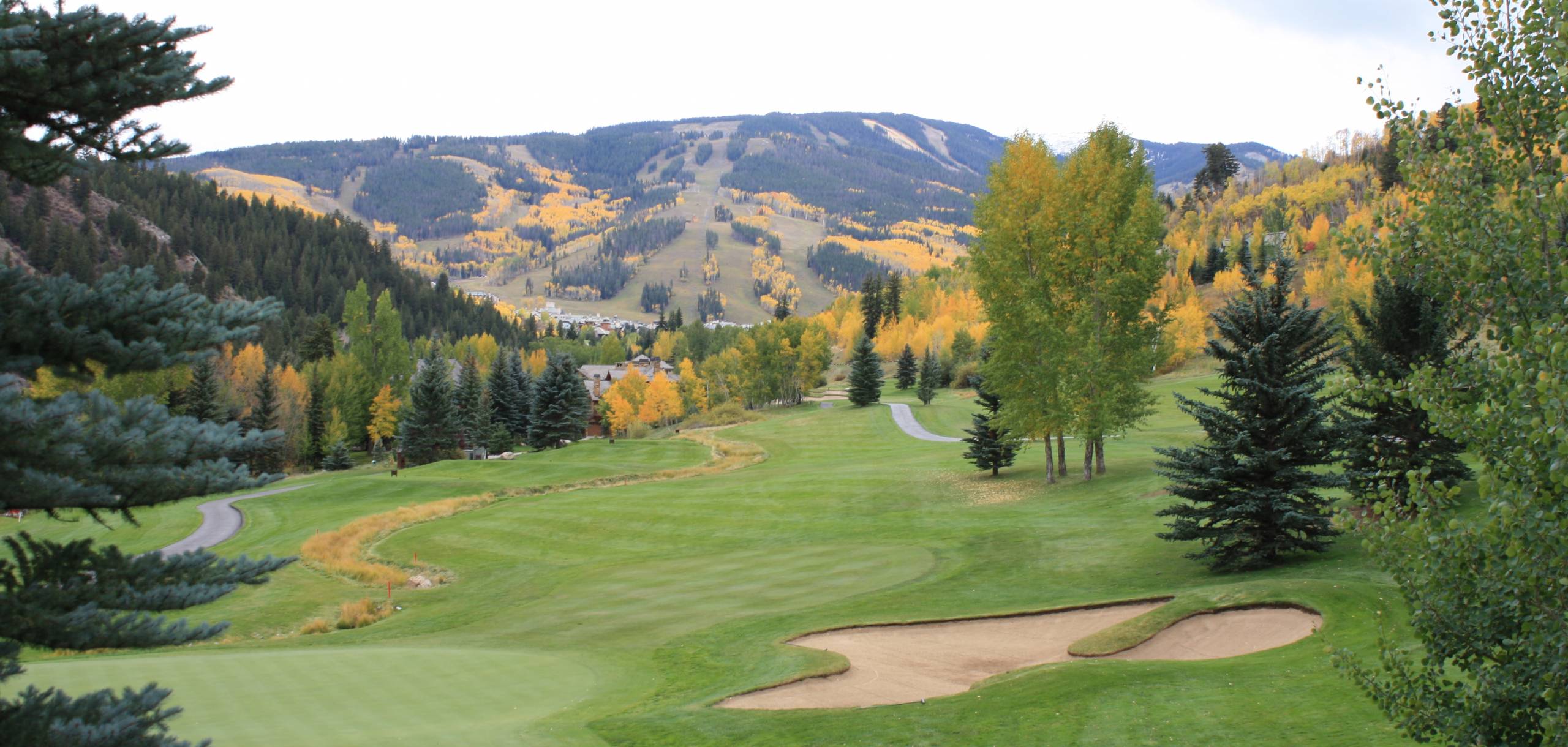 Luxury Beaver Creek Rentals Elevation